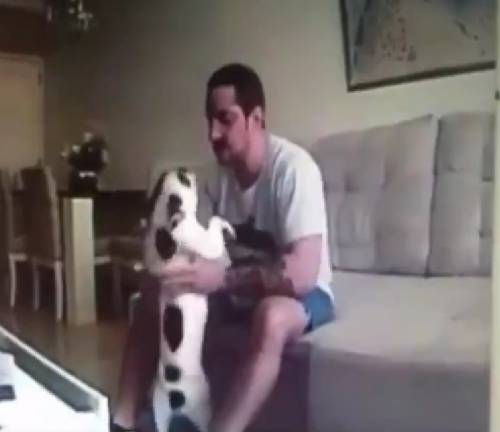 Piazza la telecamera in casa e scopre che il fidanzato abusa del suo cane