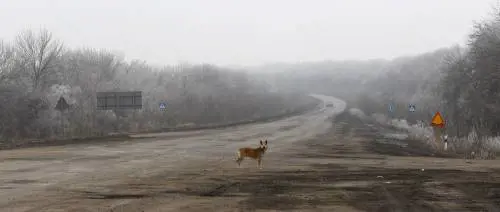 Militari schierati a Debaltseve