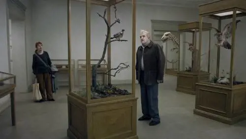 Un piccione seduto su un ramo riflette sull'esistenza