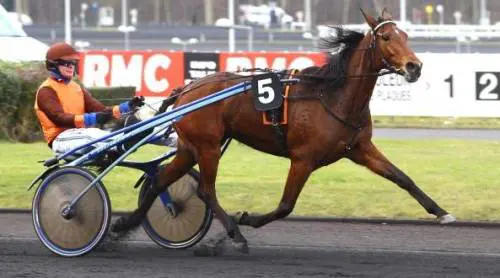 Sorpresona a Parigi: una cavalla milanese vince il Prix d'Orthez