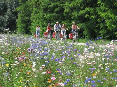 Maxi piste ciclopedonali, il turismo verde che l'Italia non sfrutta