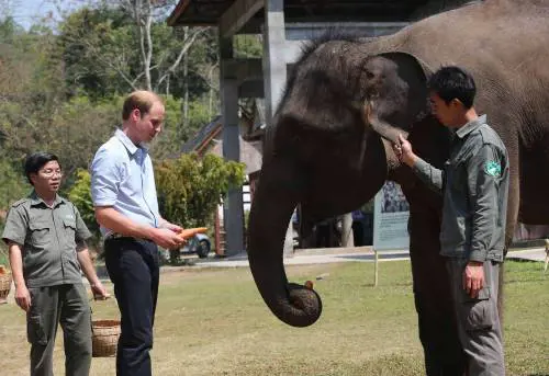 La gaffe del principe William ​che imbarazza la casa reale