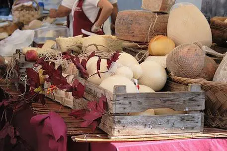Diciotto tonnellate di prodotti scaduti: maxi-sequestro dei Nas in tutta Italia