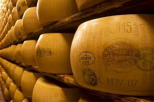 Masterchef, denuncia di Coldiretti: troppo spesso usano il "Parmesan"