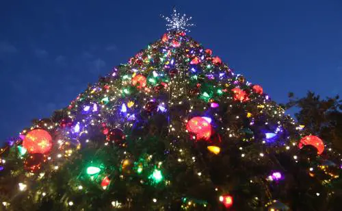 Straniero scala l'albero di Natale a Milano per staccare la croce