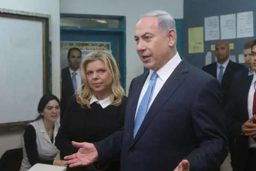 Bibi il Leone, una rimonta contro tutti