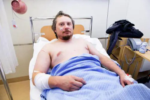 In Norvegia per l'eclissi: attaccato da un orso