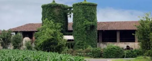 In bici fra campi, cascine e navigli