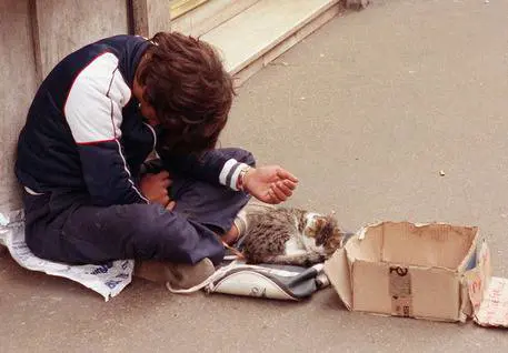 Chiedeva la carità con 850 euro in tasca: romeno multato a Teramo