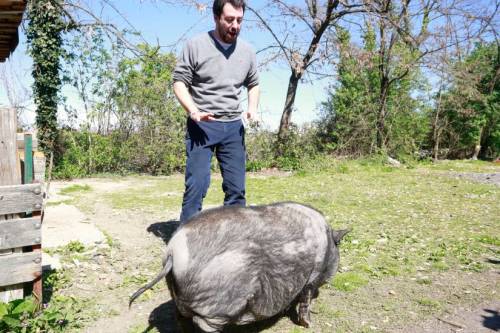 Gad Lerner fa l'elogio del maiale dei rom che ha attaccato Salvini