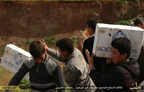 Ora l'Isis brucia il pollo destinato ai profughi: "È macellato negli Usa"