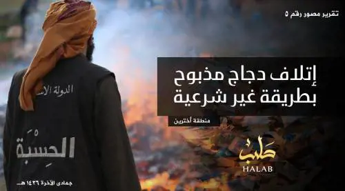 L'Isis brucia il pollo destinato ai profughi: "È macellato negli Usa"