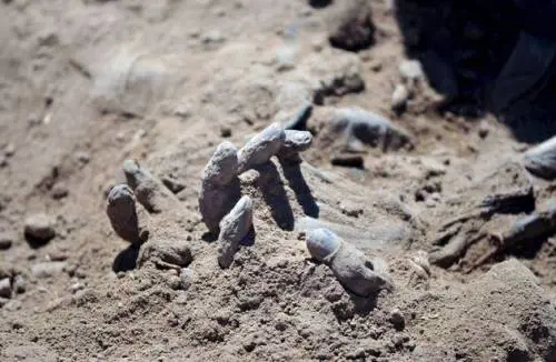 Iraq, trovate 10 fosse comuni a Tikrit: "Ci sono 1700 soldati"