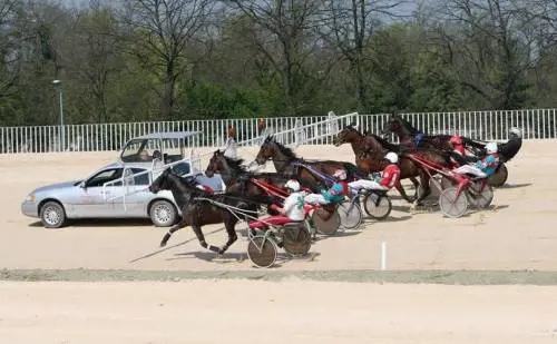 Festa con Varenne per il grande ritorno del trotto a Milano