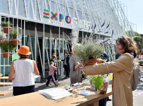 Tutti i treni portano a Expo: ogni giorno 9mila posti in più