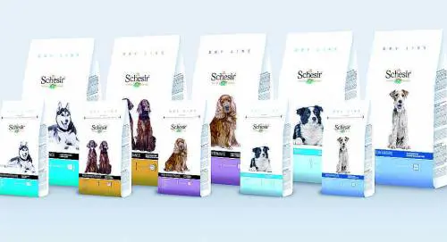 Rispetto e amore per i cani a partire dall'alimentazione
