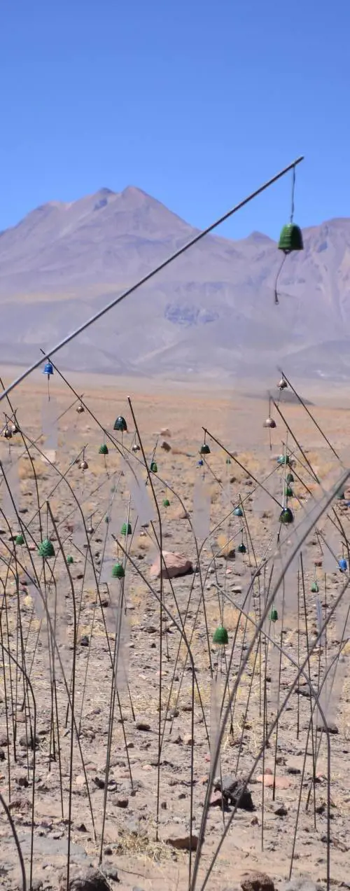 Molta teoria, pochi capolavori. È la mostra delle chiacchiere