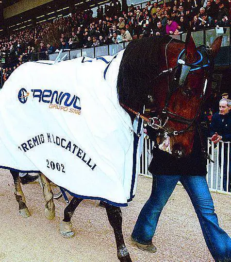 Varenne guida la sfilata per il nuovo ippodromo