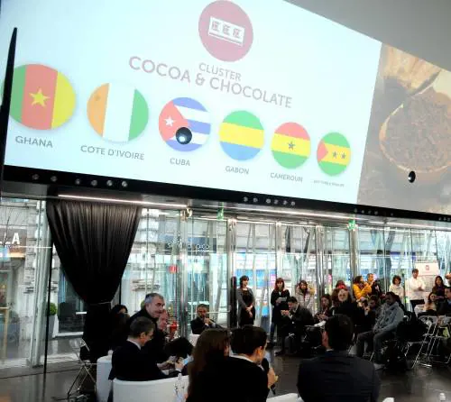 E la burocrazia blocca il cluster del cacao