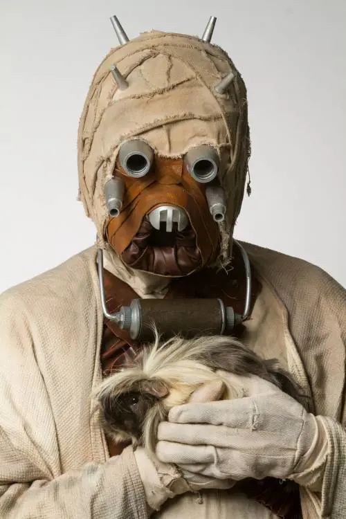 I personaggi di Star Wars per l'adozione degli animali