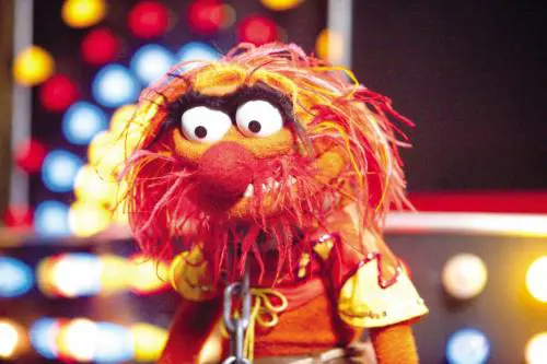 I Muppet