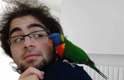 L'autopsia sul corpo di Domenico: "Alcol nello stomaco, aveva bevuto poco prima di morire"