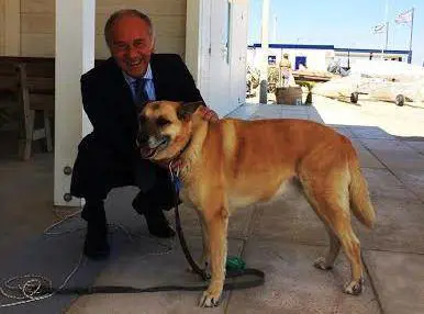 Se l'amore di Kyra per il padrone morto fa cambiare le leggi