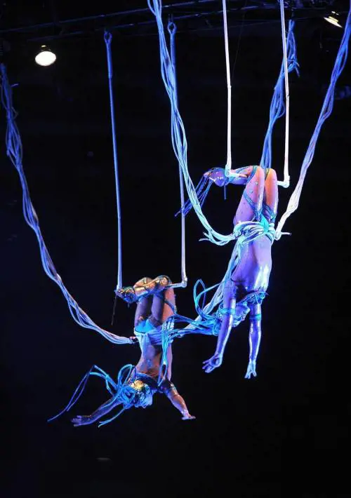 Quei «tiratardi» che fanno notte tra i padiglioni