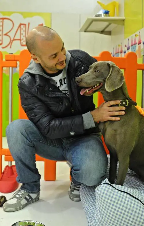 Expo vietato ai cani Ma in città ci sono 32 asili per animali