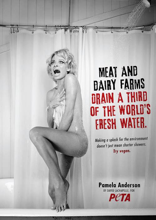 Pamela Anderson nuda per sensibilizzare sulla siccità in California