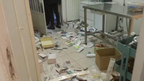 I rom devastano ambulatorio Enpa a Torino