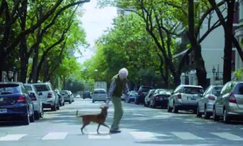 La vendetta dei rom:  devastano il canile