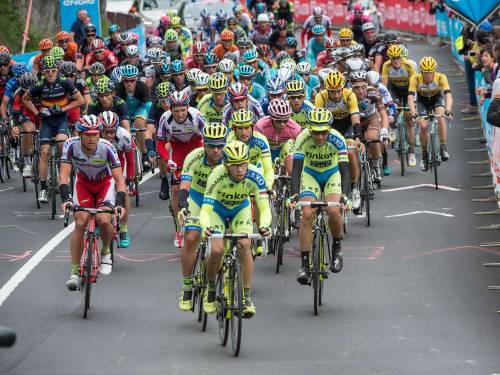 Giro, a Lugano lo sprint di Modolo  Contador resta in maglia rosa