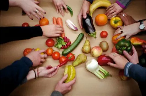 "Dieta vegetariana dannosa per l'ambiente"