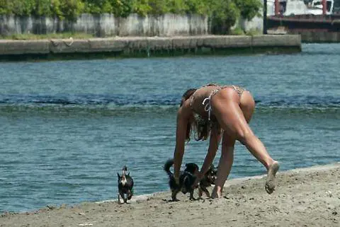 Dilettuso mozzafiato in spiaggia
