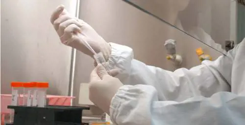 Fa fecondazione in vitro ma usa il seme dell'amante all’insaputa del marito