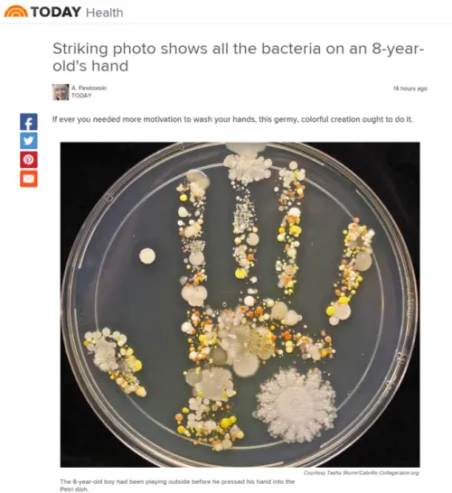 Quanti microbi ci sono sulla mano di un bambino