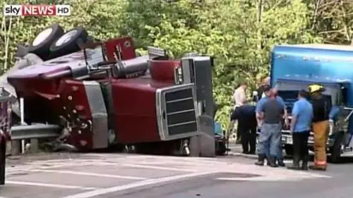 Ohio, 200 maialini in fuga nelle campagne dopo incidente stradale