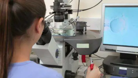 Bari, muore a 38 anni durante la procedura ​di inseminazione artificiale