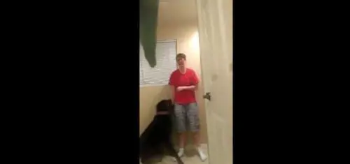 Sindrome di Asperger, il cane aiuta la ragazza durante una crisi