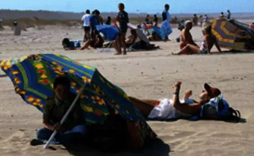 La Versilia in trincea, vigilantes in spiaggia: "Qui ormai è guerra"