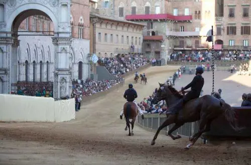 Siena, abbattuta cavalla infortunata