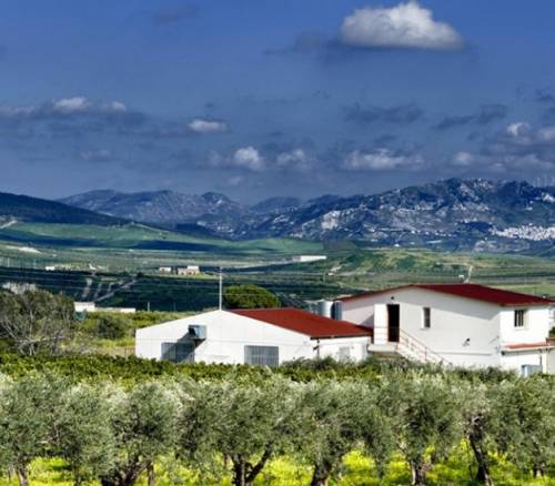 Scyavuru: profumi e gusti di Sicilia racchiusi in un vasetto