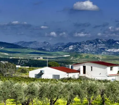 Scyavuru: profumi e gusti di Sicilia racchiusi in un vasetto