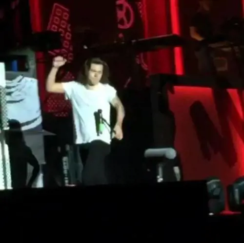 One Direction, Harry Styles cade sul palco:il video diventa virale