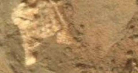 La scoperta: "Fossile umano su Marte"