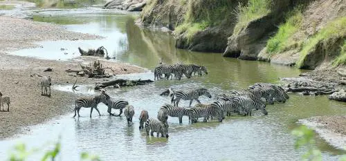 La magia del Kenya in un safari all'ombra del Kilimangiaro