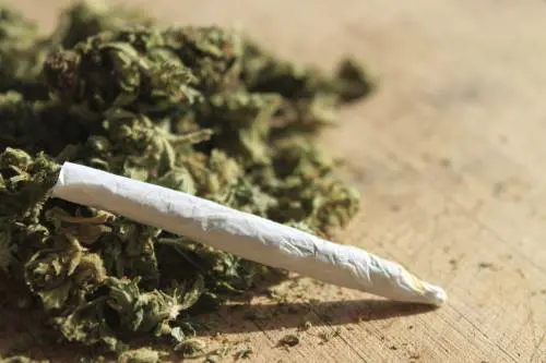 Lo sballo è Amnèsia, ​la droga che paralizza Ed è boom tra i giovani