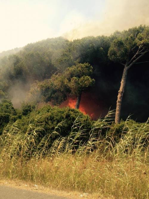 Incendio a Fiumicino