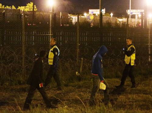 Calais, pugno duro di Cameron: "Cani e recinti contro i migranti"